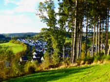P1010334.jpg