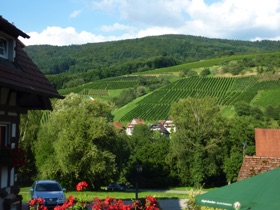 Uitzicht vanaf 'ons' terras