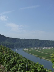 P1000797.JPG