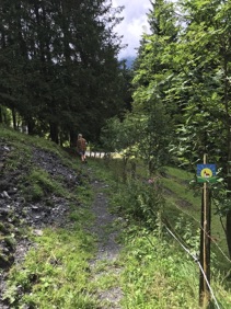 De 'ongemakkelijke' route
